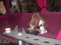 NORTH & SOUTH, PARTIES & PIGS! - DSC00893