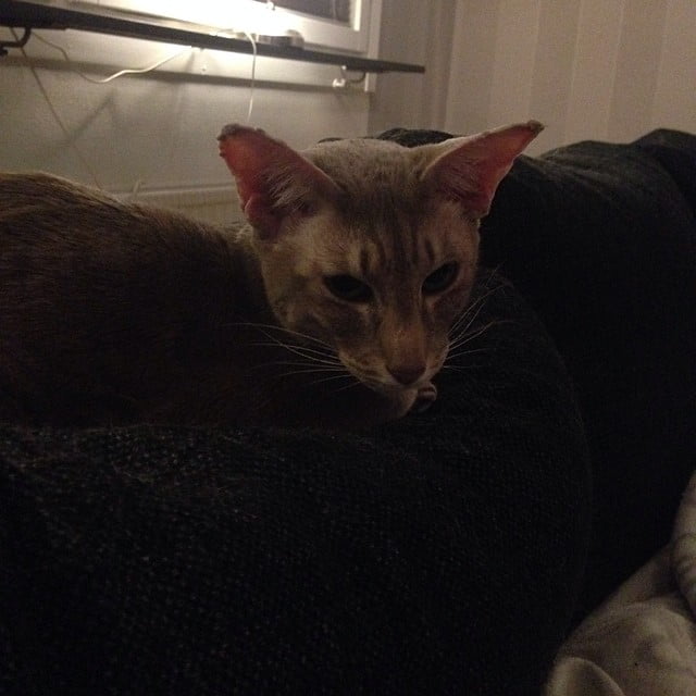 Instagram moment @ Falun, Sweden! - 10299727 469260629874030 1188047443 n