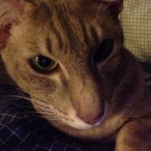 Instagram moment @ Falun! - 10311100 307707902713808 1216406505 n