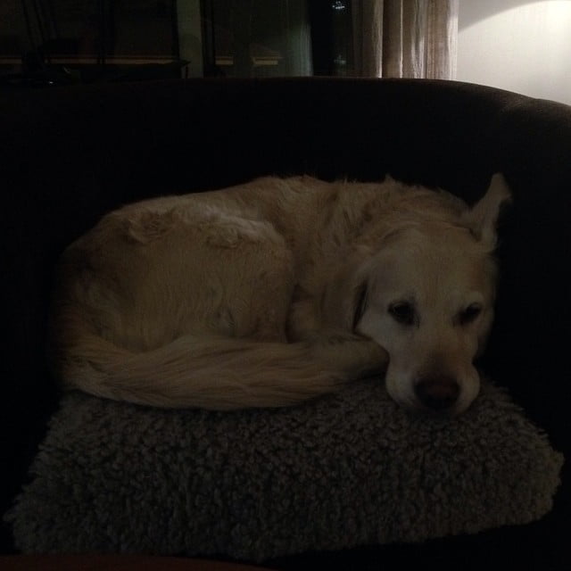 Instagram moment @ Ingarö! - 1b7ca62cc80b11e388fb0002c9d39528 8