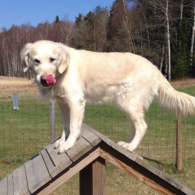 Instagram moment @ Ingarö! - 461dbadec87811e3b43f0002c9921306 8