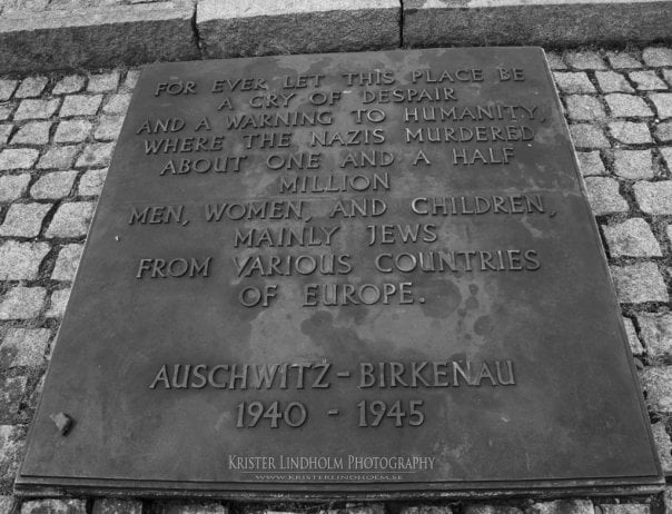 8932_151645302737_1873139_n