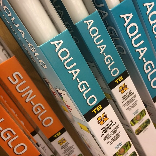 Improves your cats eyes in water - 10593486 1447750915488405 1340910809 n