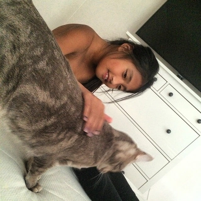 Every cats best friend - 10541986 342889015871755 1043771658 n