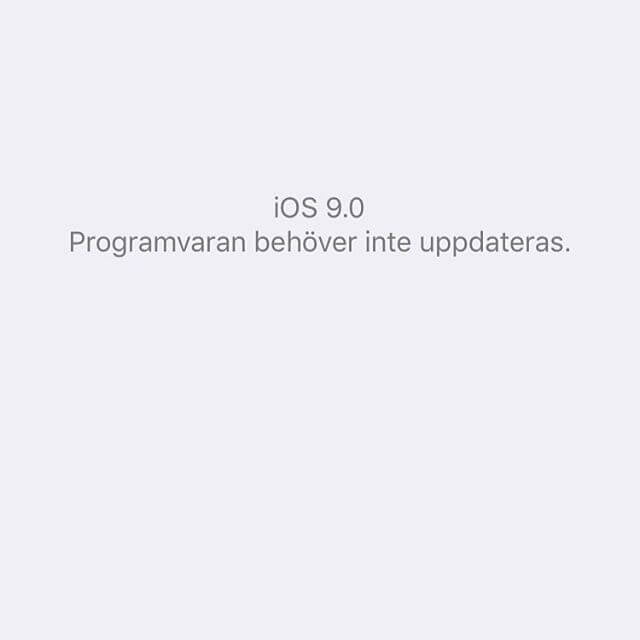 Perfekt - 11950437 427499444127766 1497140189 n