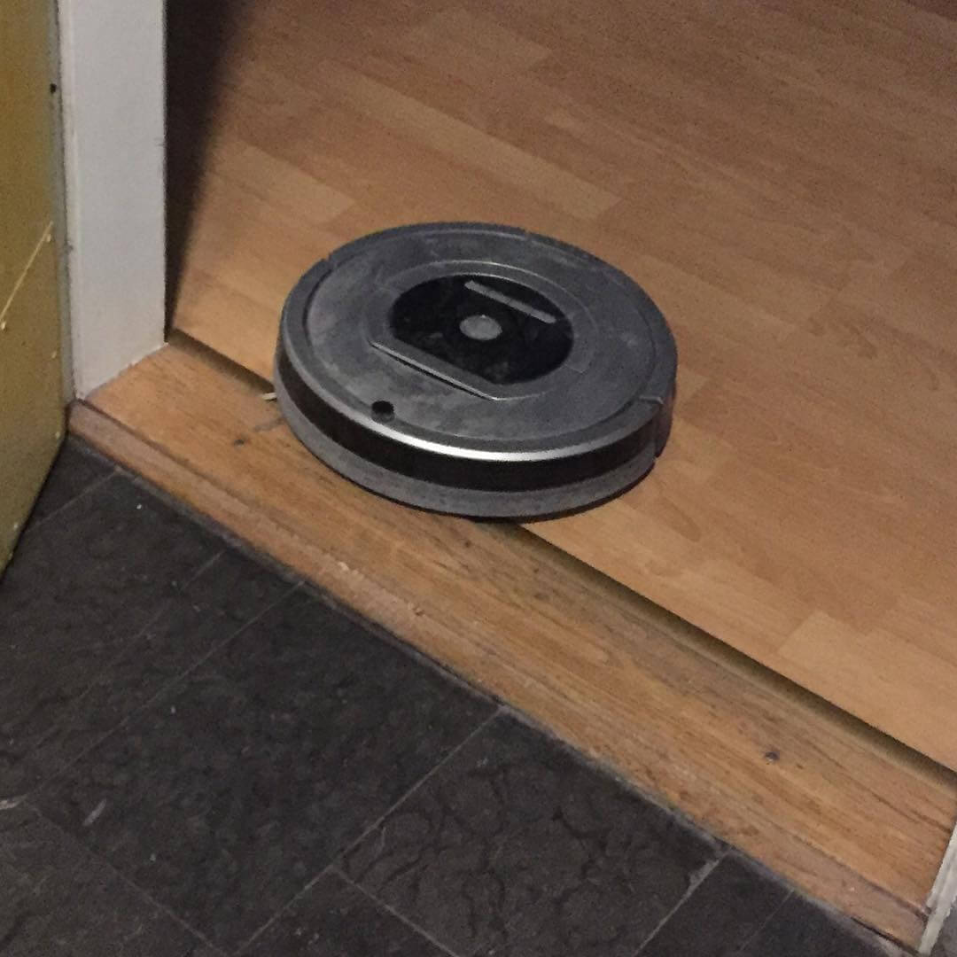 Vår synnerligen korkade hemhjälp verkade tycka att tröskeln vid ytterdörren var en perfekt plats att parkera på. Och att vi skulle bli lite extra glada av det? Korkat sa Bull - 1468589137