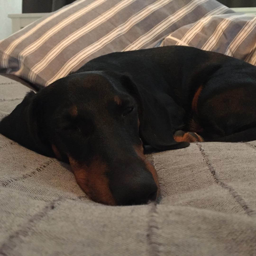 Förmiddagstax @coco_everydaylife - 1475565446