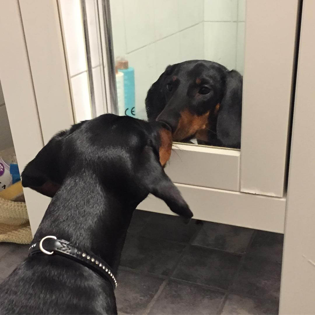 Reflekterande tax @coco_everydaylife - 1475589461