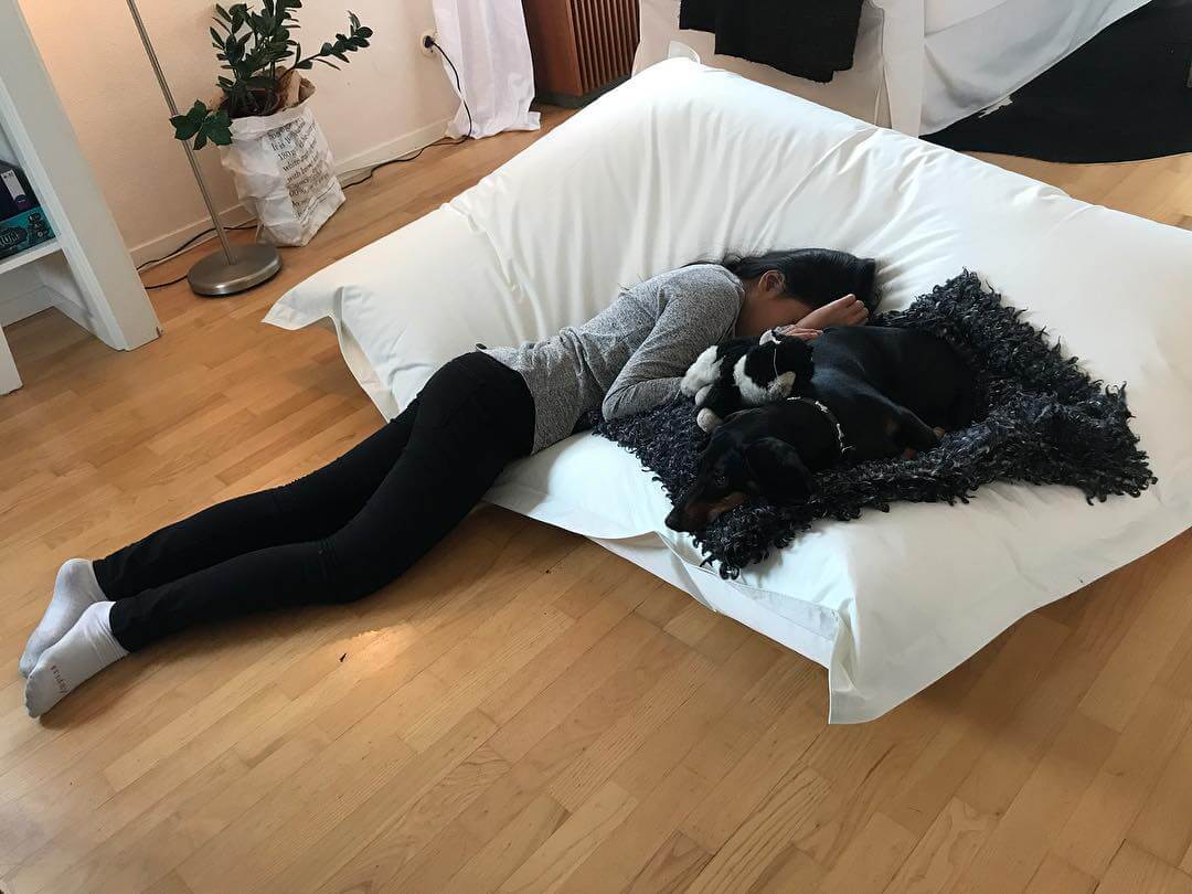 Fatboy. Kombinerad hundbädd och flicksäng. @taxen_coco och @mingming_05 har det gött! - 1506087056