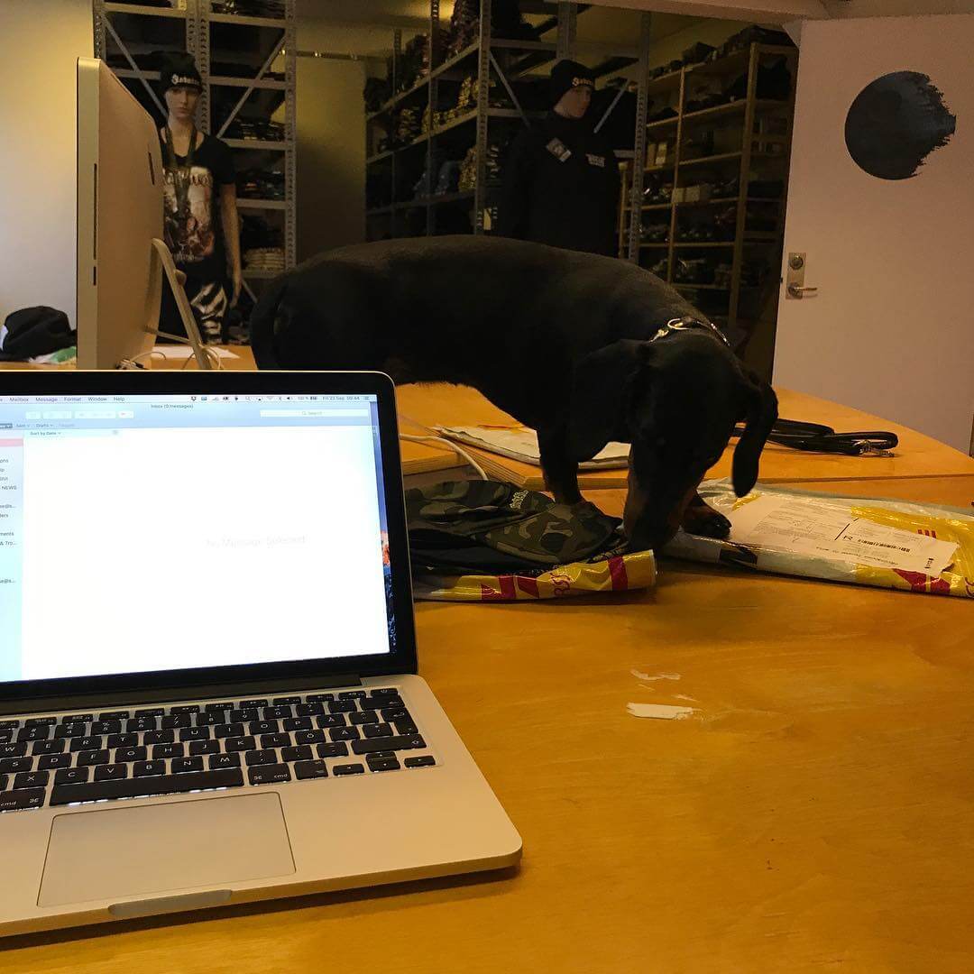 Hade en tax på firman i dag. @taxen_coco i vanlig ordning. - 1506112836