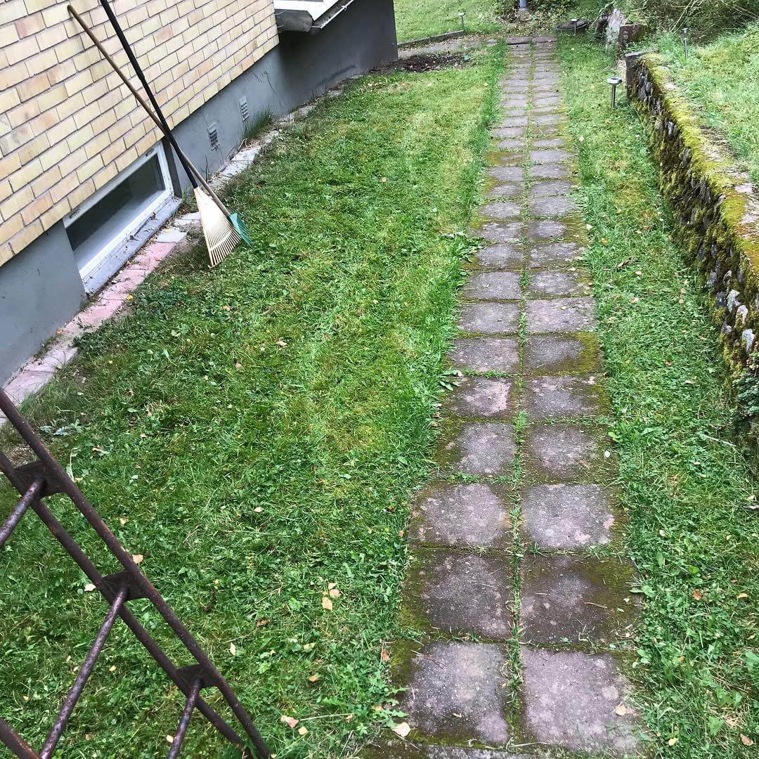 Livet på landet. Mossa från helvetet! - 1506341653