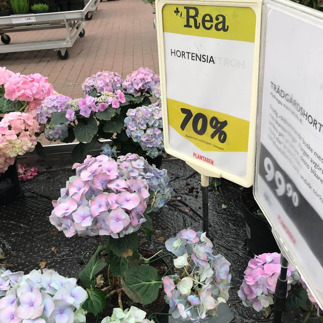 Nästan så man blev lite sugen. Igen - 1507046508