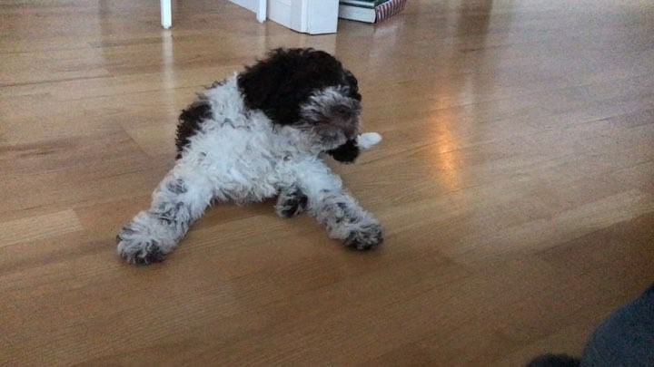 I do things I don’t know why. But I do - 1507646164