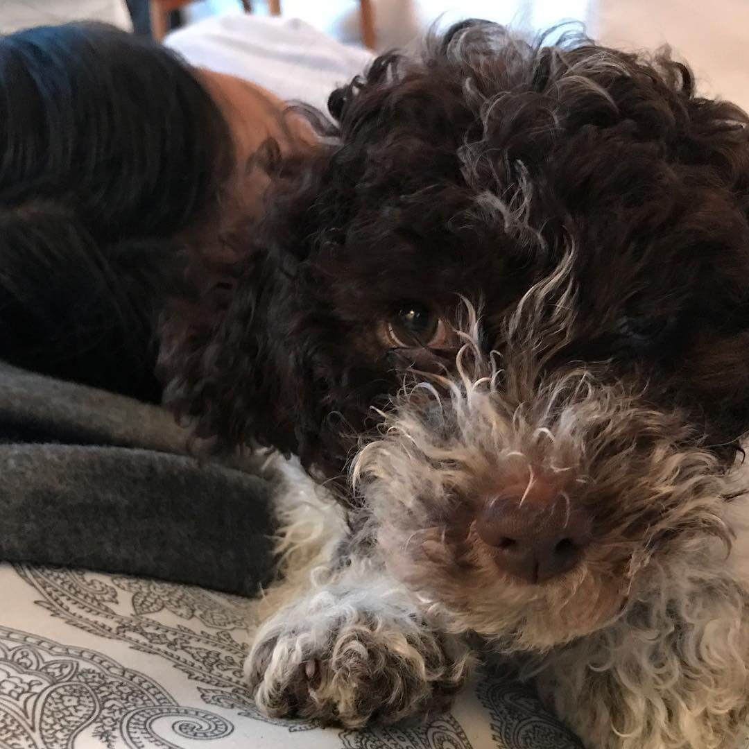 Junior mum @mingming_05 is back! Full house is the best - 1507821559