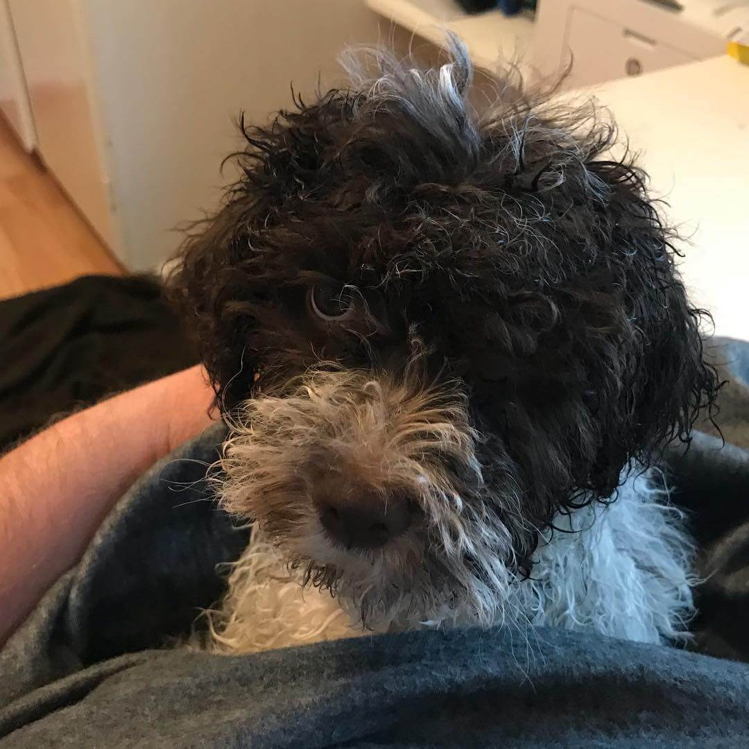 I like to shower. Gets me up and running so to say. Winner - 1508932390