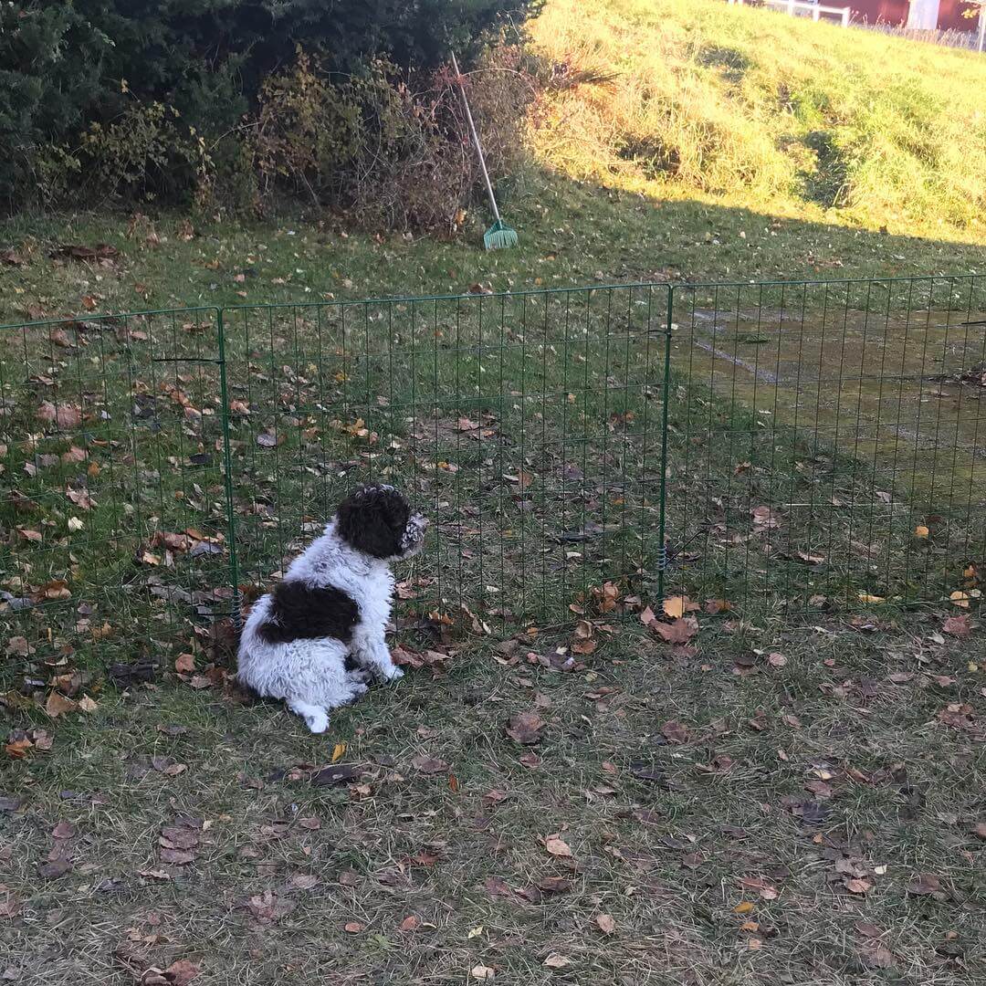 Mum left me. Alone. Damn that thing they call work - 1509349706