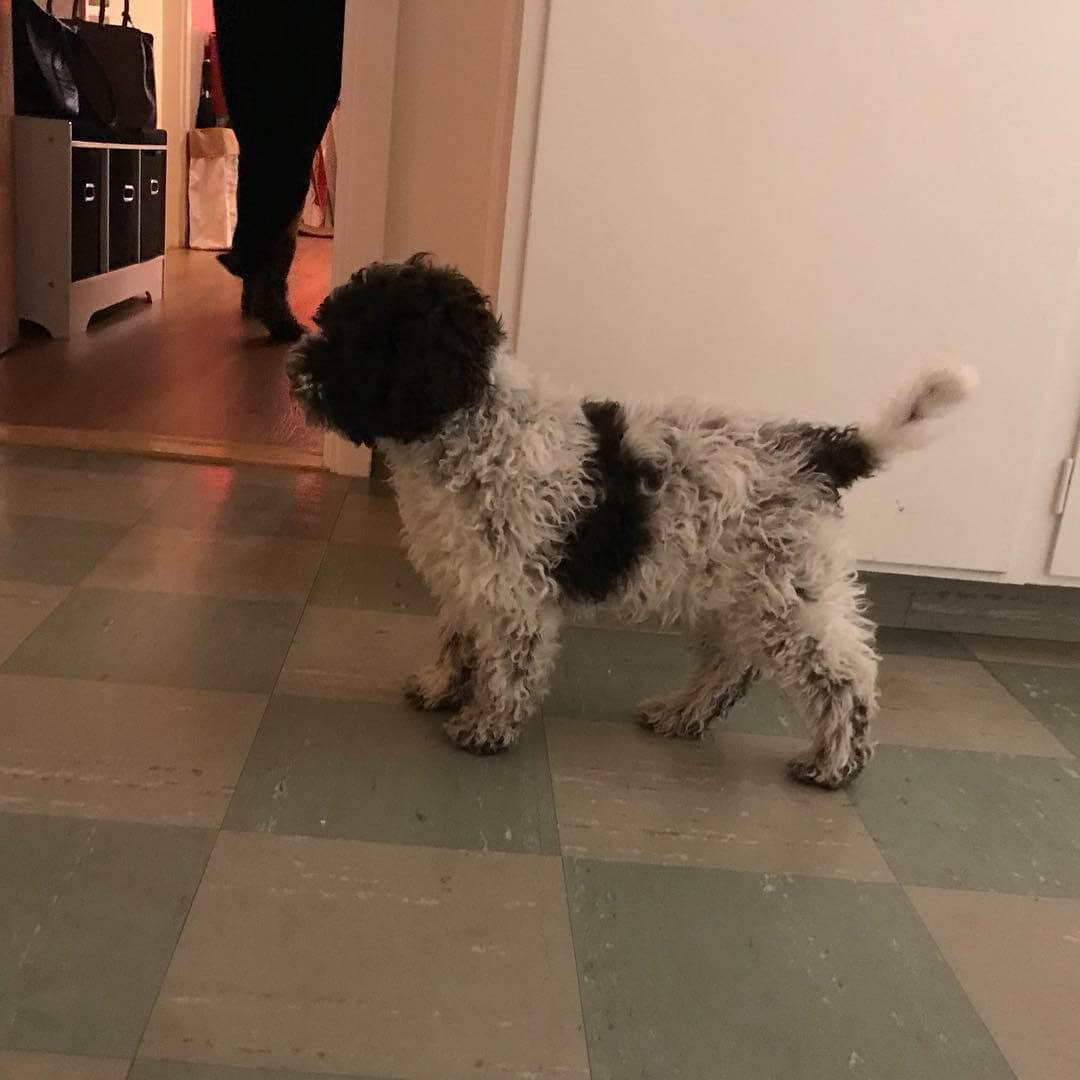 Don’t grow up, dad said. Why? - 1509473698