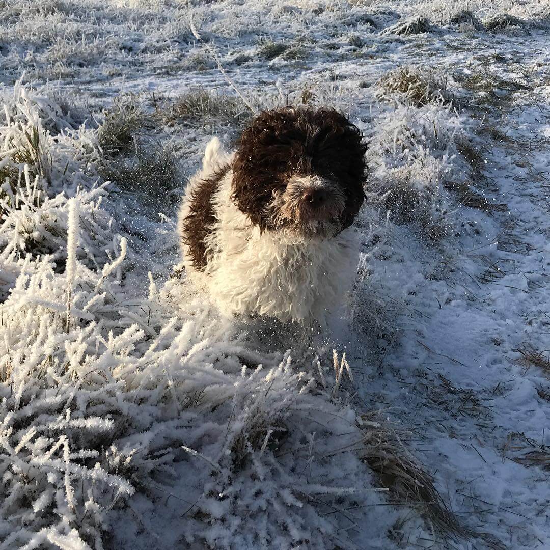 I’m in stealth mode. Invisible - 1510830158