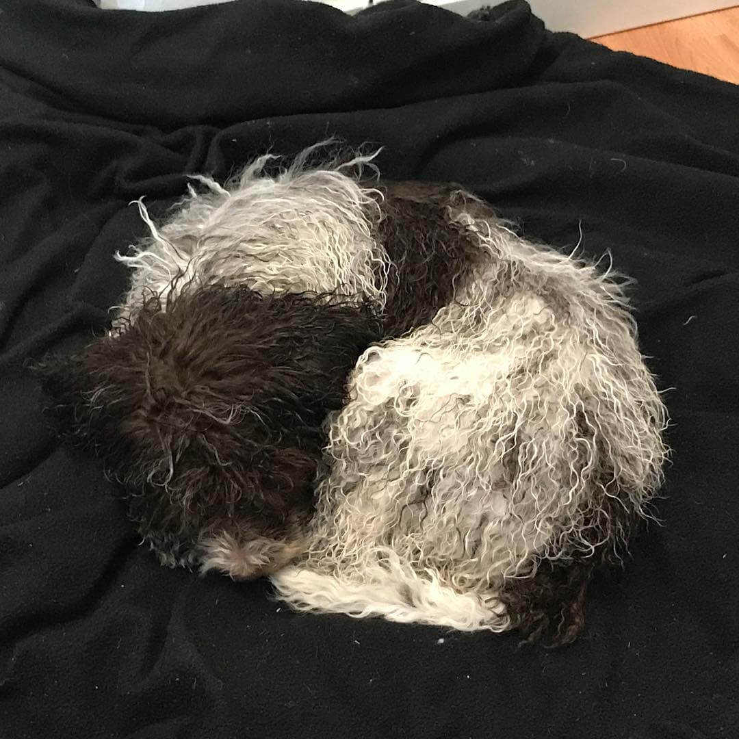 After a long and cold walk I got my precious shower! And sleep - 1510832359