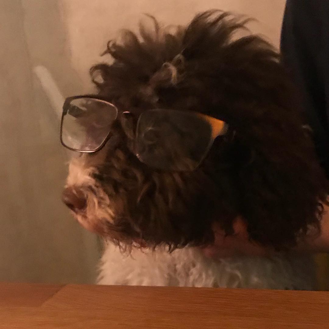 Seriously. I can’t see shit in these - 1512069480