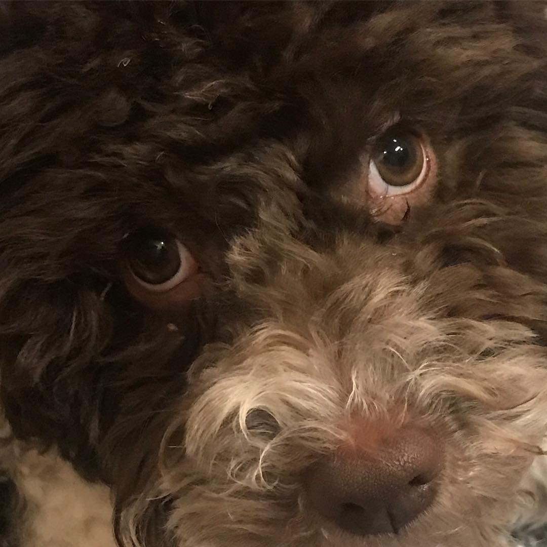 This is what I call a proper close up - 1512457021