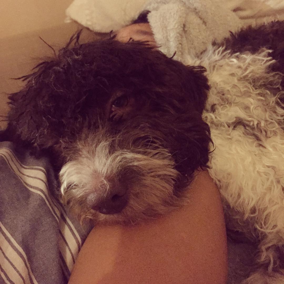 Sunday mood - 1512935916