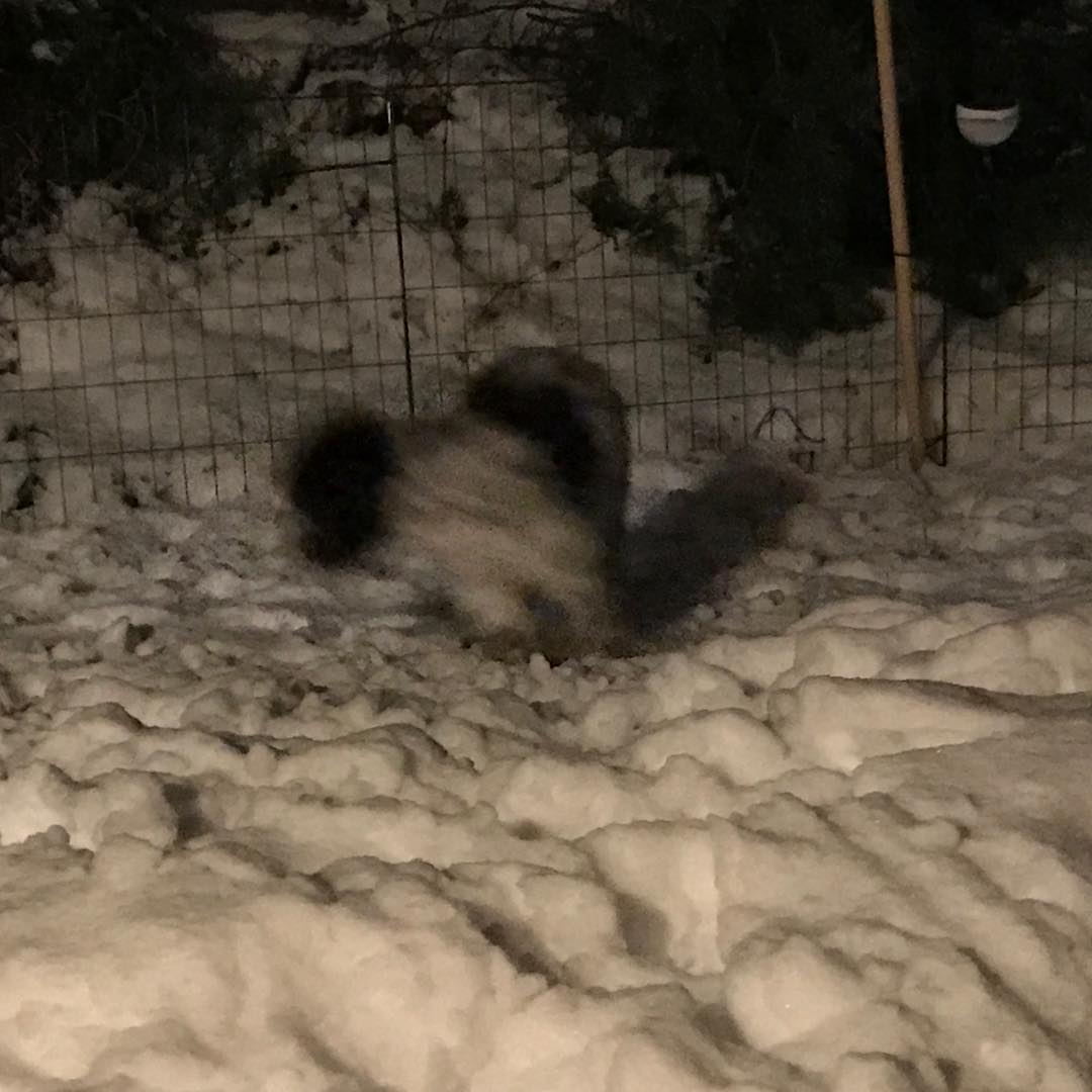 I’m faster than dads camera - 1513357536