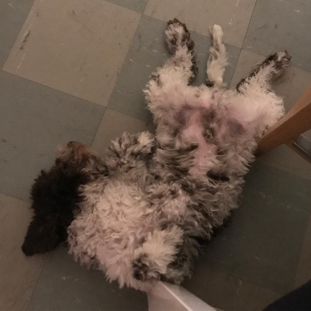 Ok. So I decided to sleep on my back. No problem - 1513387111