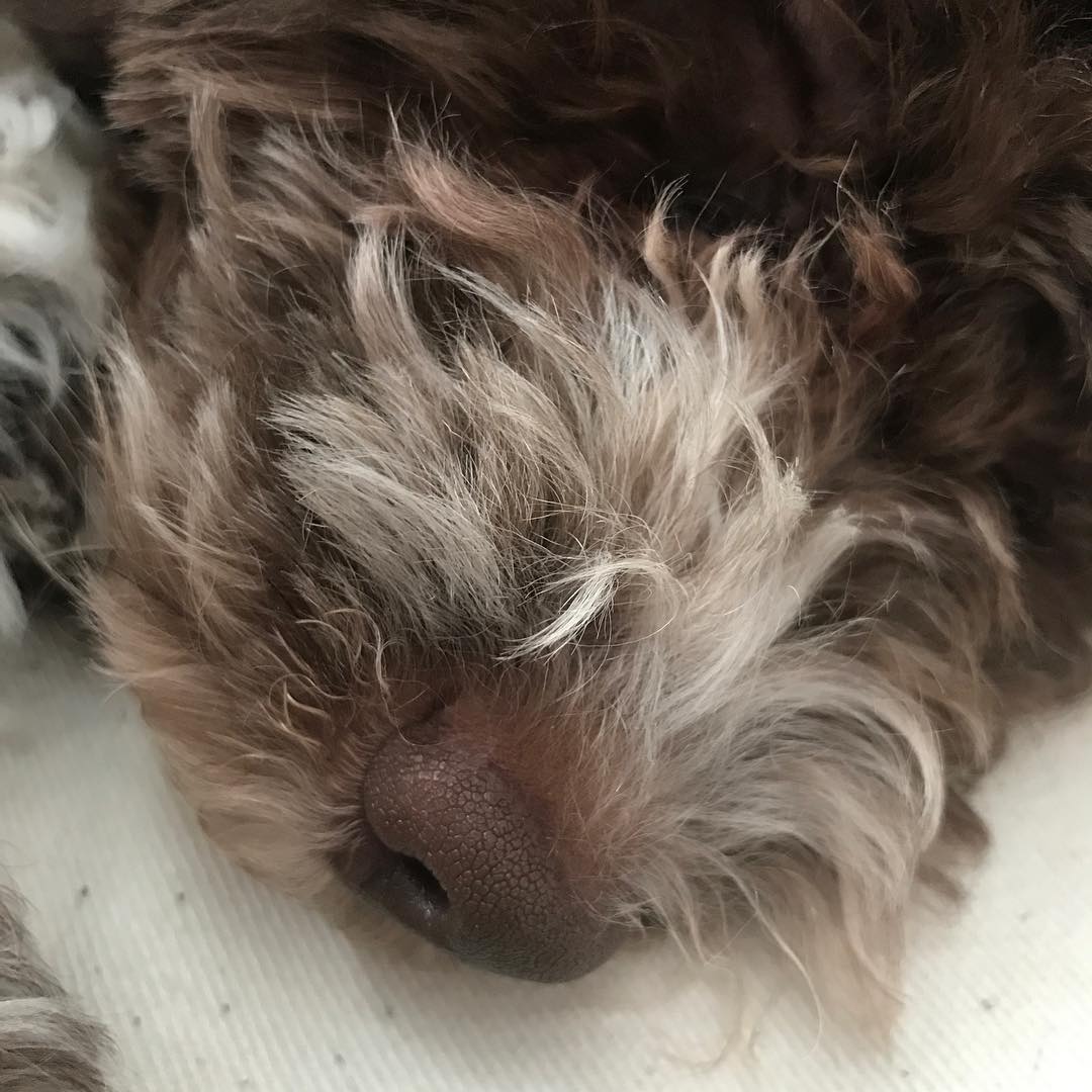 This is me sleeping. Very close - 1514372149