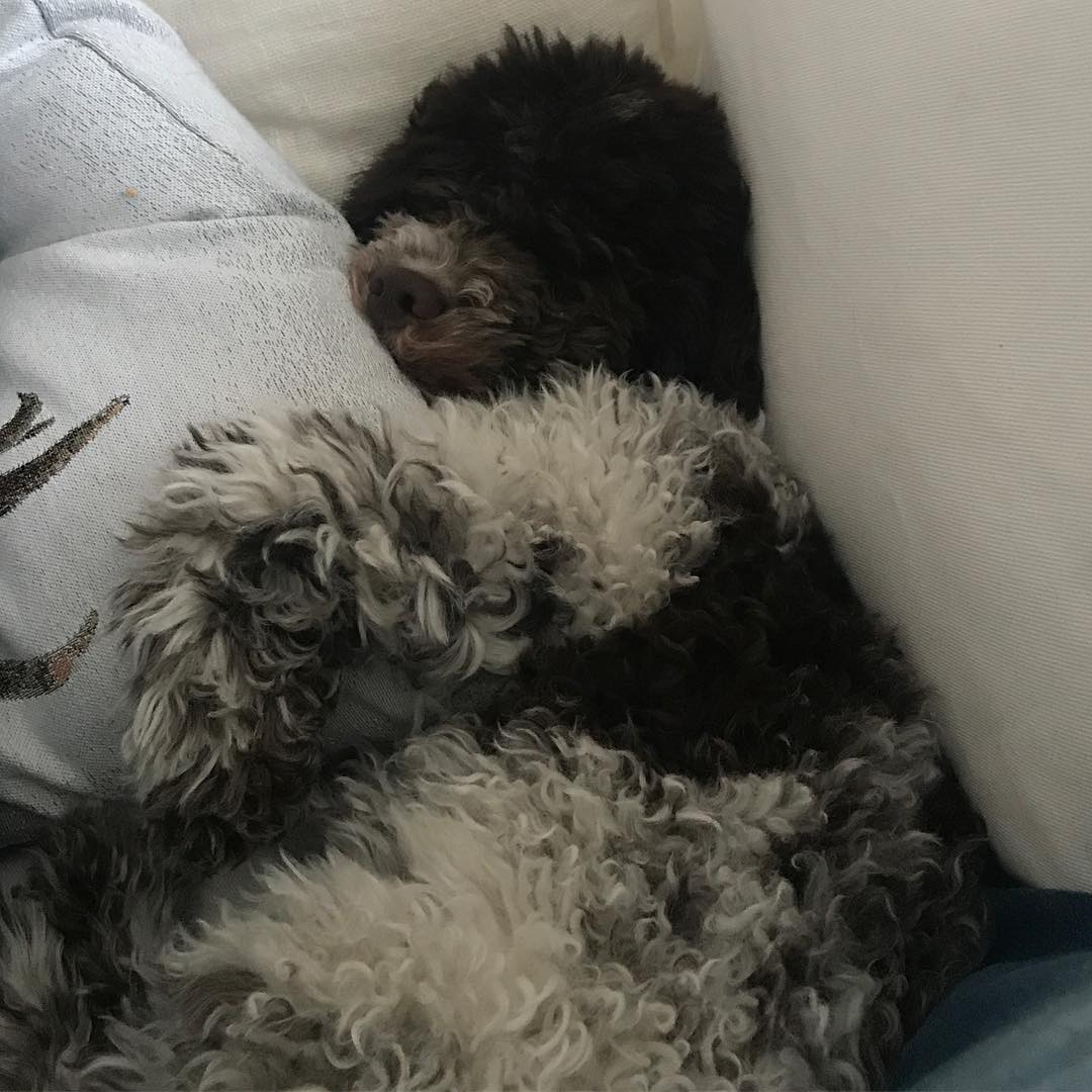 I have helped dad all week. Time to rest - 1515762254