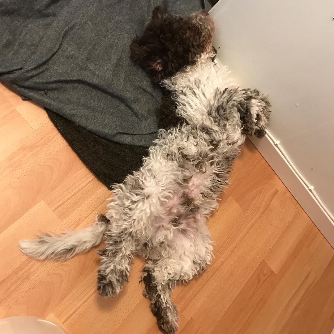 I only see possibilities when the blizzard rages outside - 1516096089