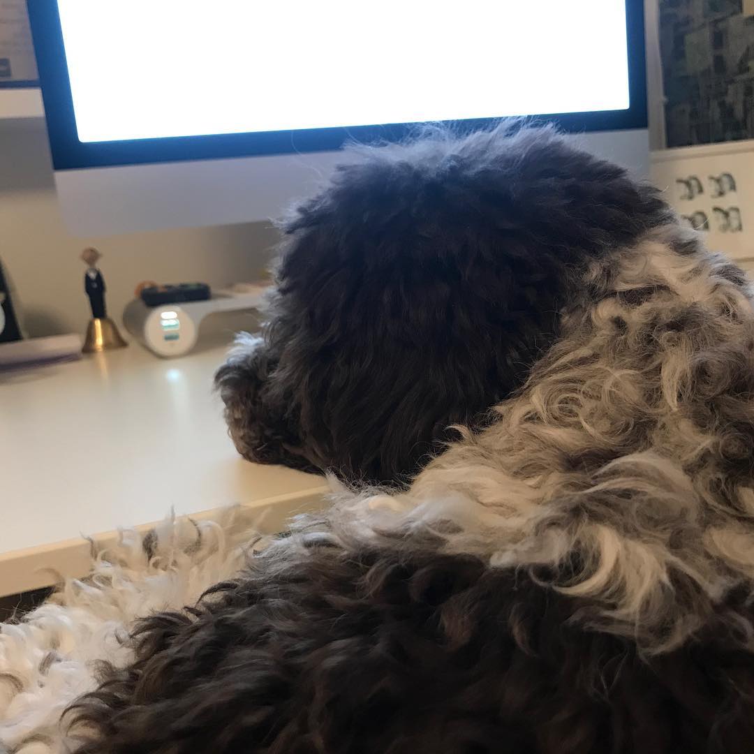 Helping dad with a spreadsheet problem. I have skills - 1516215250