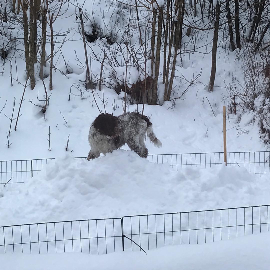 And there I was again. On my hill - 1516831406