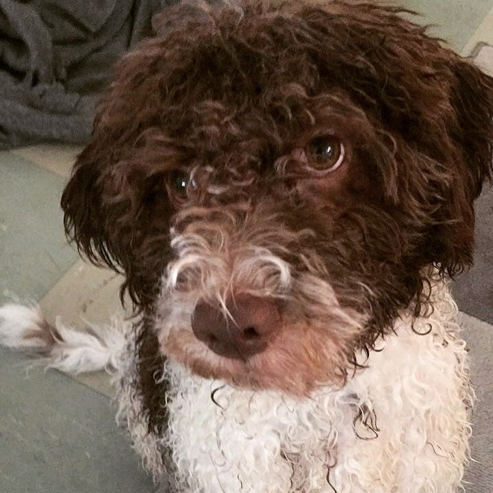 I’m so cute! Can I please have a bite of your sandwich @mingming_05 - 1517479556