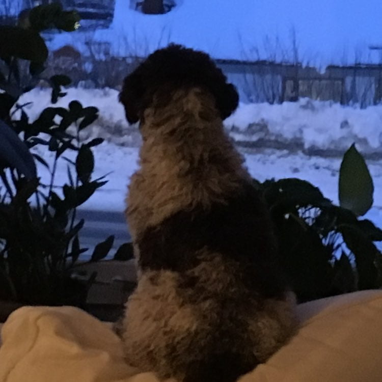 I miss you already @mingming_05, I’m gonna sit here and wait for you to Come home - 1518365040