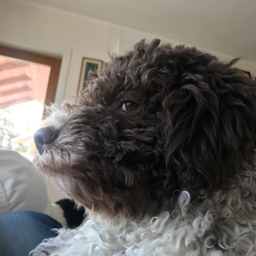 Sometimes I don’t care how I look. I’m awesome - 1518693478