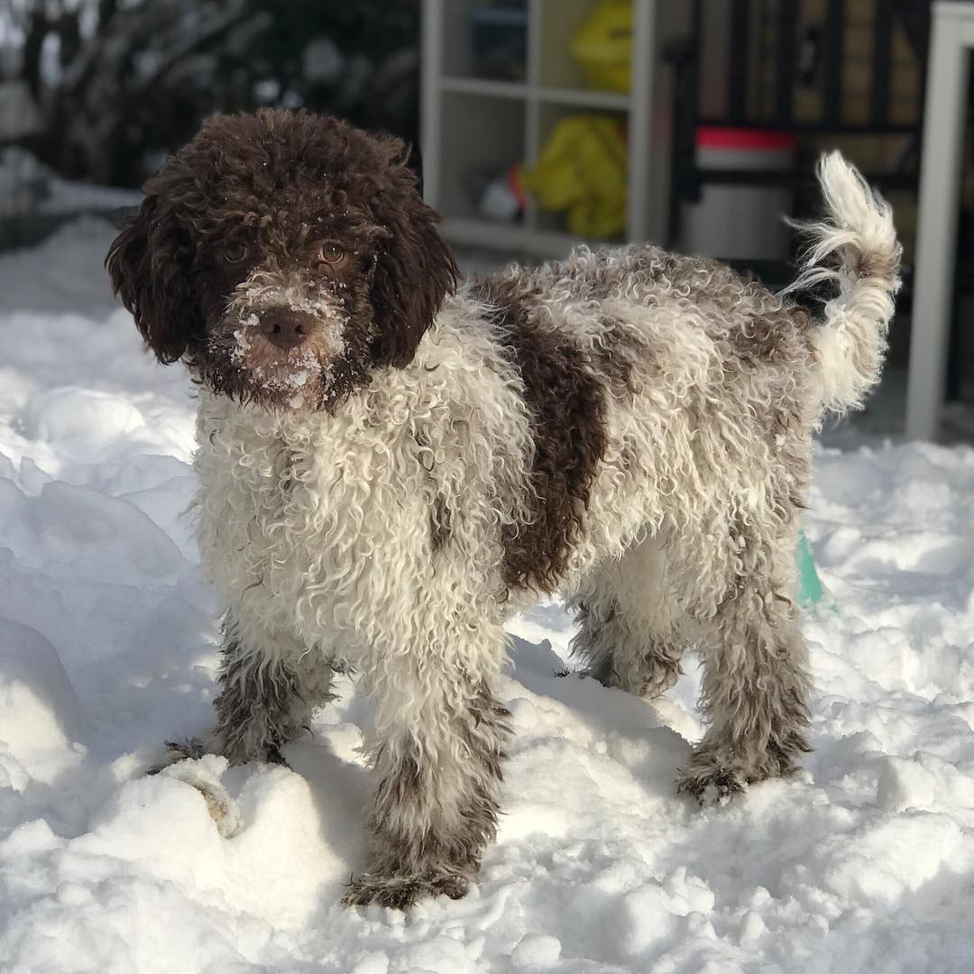 Me in snow. Snow. Snow. Snow - 1518696364