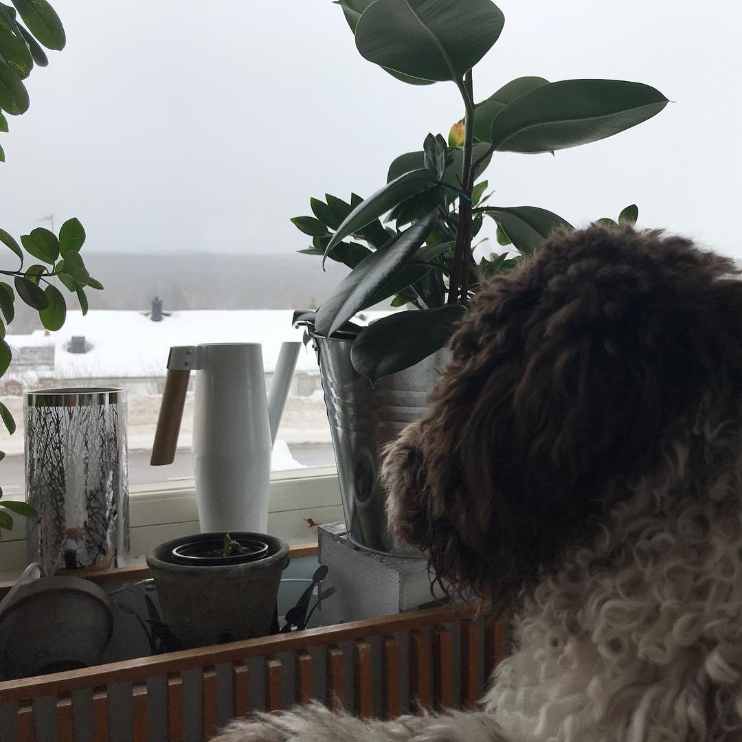 When you leave I’ll be waiting in the window. Like a cat - 1518957487