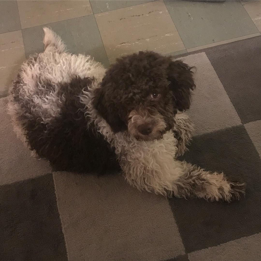 And I wonder. Who wrote the book of me? - 1519072567