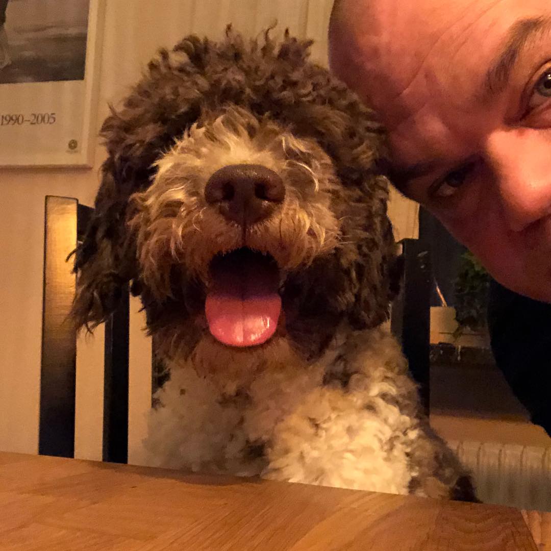 Took a “dad-fie”. Did I it great. #pappajagvillhaenitalienare #maclagotto #lagottoromagnolo #lagottosofinstagram #lagottopuppy #lagottolove #lagottostyle #lagottos #lagottodogs #lagottoromagnolos #lagottoboy #svärdsjö #dalarna #sweden #dog #dogs #dogsofinstagram #dogsofinsta @knappare @mingming_05 - 1520023127