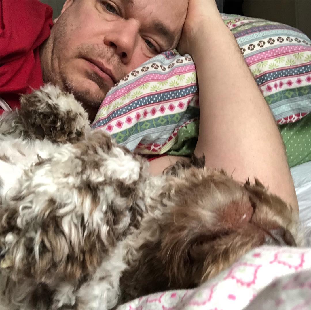 Dad is still sick. At least he have something beautiful to rest his eyes at. #pappajagvillhaenitalienare #maclagotto #lagottoromagnolo #lagottosofinstagram #lagottopuppy #lagottolove #lagottostyle #lagottos #lagottodogs #lagottoromagnolos #lagottoboy #svärdsjö #dalarna #sweden #dog #dogs #dogsofinstagram #dogsofinsta @knappare @mingming_05 - 1520440850