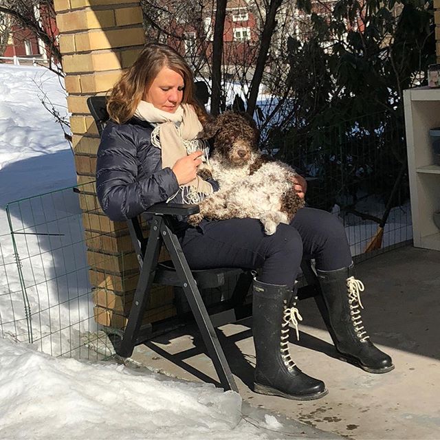 This is me and my new outdoor bed. And mum. #pappajagvillhaenitalienare #maclagotto #lagottoromagnolo #lagottosofinstagram #lagottopuppy #lagottolove #lagottostyle #lagottos #lagottodogs #lagottoromagnolos #lagottoboy #svärdsjö #dalarna #sweden #dog #dogs #dogsofinstagram #dogsofinsta @knappare @mingming_05 - 1522587279