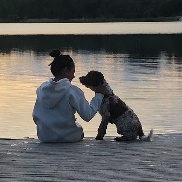Sunset with my best friend @liminglindblad ❤️#bff #lagottoromagnolo #lagotto #summerdog #pappajagvillhaenitalienare - 1528401394