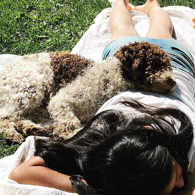 @liminglindblad is my bff and the greatest pillow🔆#pappajagvillhaenitalienare #lagottoromagnolo #lagotto #dogsofinstagram #dogsinthesun - 1530040240