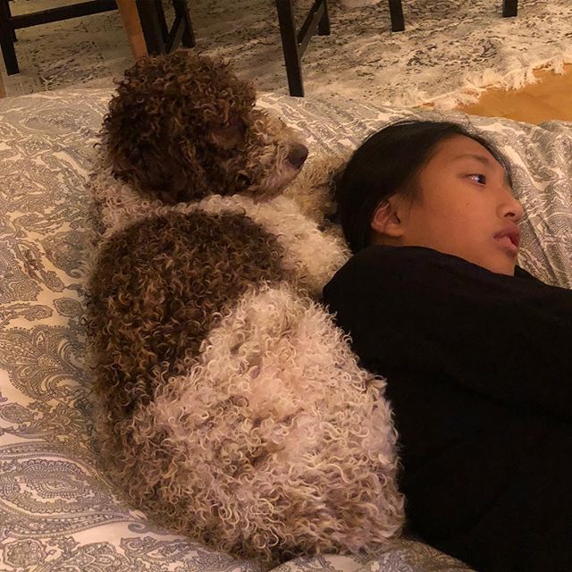 I like her iPhone too. #lagottoromagnolo #lagotto #dogs #lagottos #lagottosofinstagram #lagottopuppy #lagottolove #lagottostyle #lagottodogs #lagottoromagnolos #lagottoboy #svärdsjö #dalarna #sweden #dog #dogmodel #dogmodels #dogsofinstagram #dogsofinsta #pappajagvillhaenitalienare #maclagotto @knappare @liminglindblad @k.rowntree @taxen_coco - 1535485652