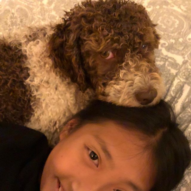 You should always lay your head on your best fiends. That helps. #lagottoromagnolo #lagotto #dogs #lagottos #lagottosofinstagram #lagottopuppy #lagottolove #lagottostyle #lagottodogs #lagottoromagnolos #lagottoboy #svärdsjö #dalarna #sweden #dog #dogmodel #dogmodels #dogsofinstagram #dogsofinsta #pappajagvillhaenitalienare #maclagotto @knappare @liminglindblad @k.rowntree @taxen_coco - 1535485848